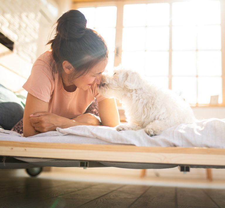 welcome-to-kindness-pet-clinic-your-local-veterinarians-in-indianola-ia