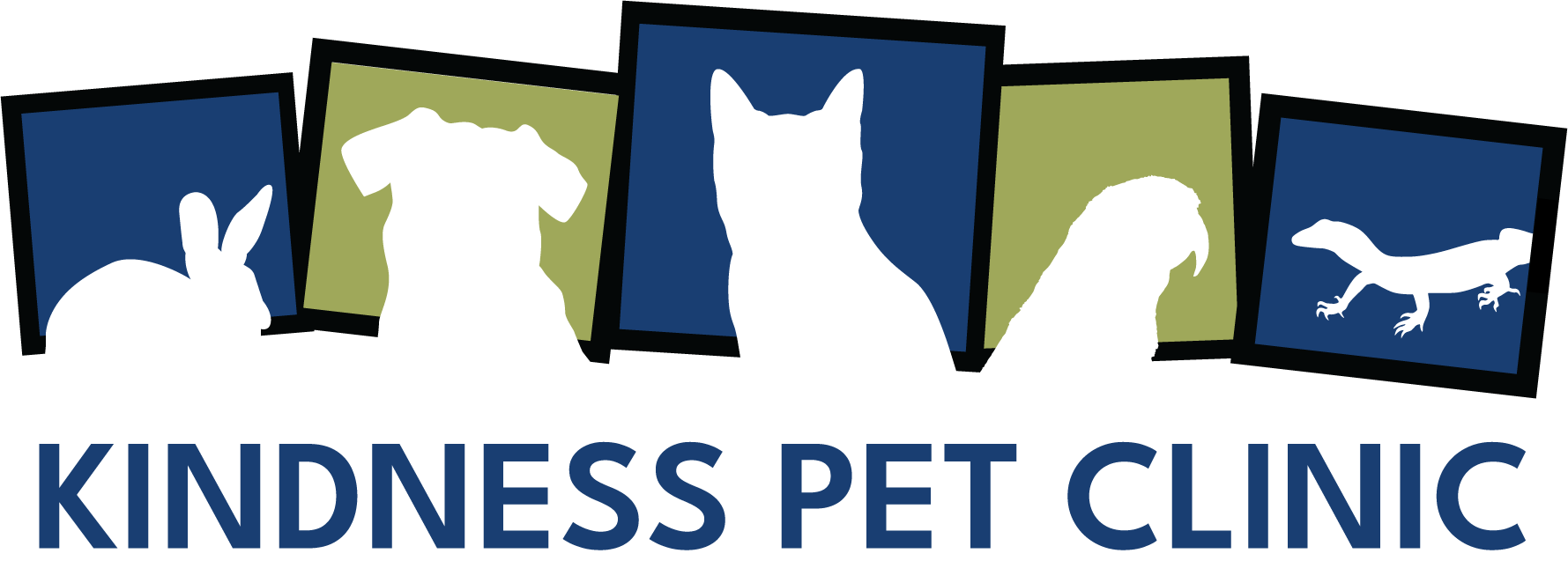 Kindness Pet Clinic